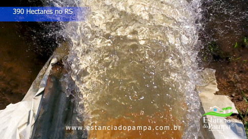 Renato Borghetti   Kilómetro Once (Transito Cocomarola)   Instrumental Sesc Brasil [VDownloader].00_02_06_07.Quadro033_0634e3b6f42d0d8bc841e79065b9104dc0d0b53b.jpg